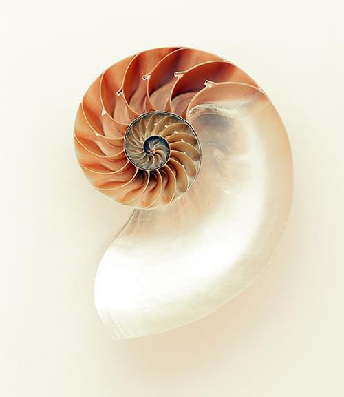 FAIR fractal featured