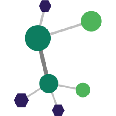 BMDS logo 300x300